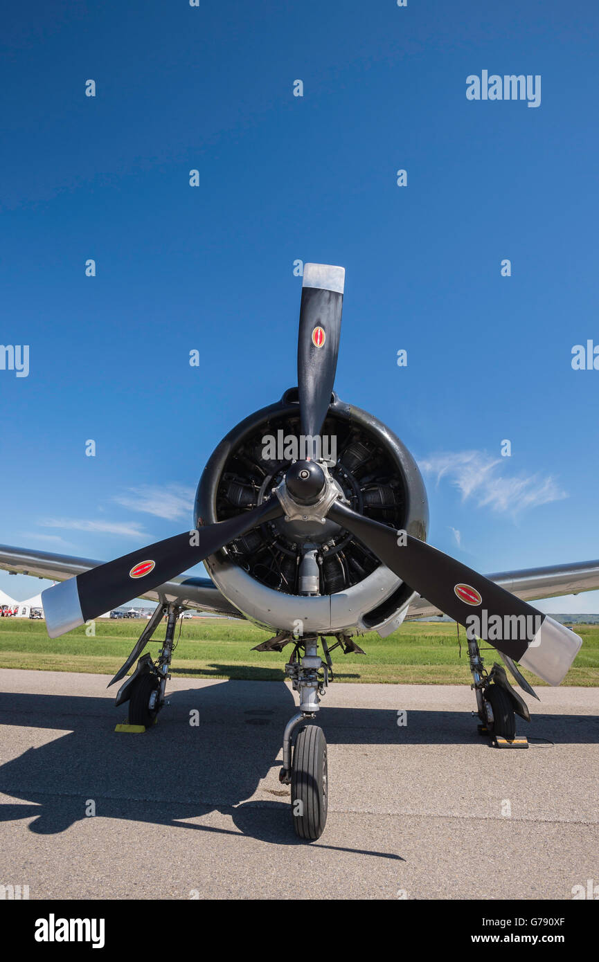 T-28 Trojaner, Wings over Springbank, Springbank Airshow, Alberta, Kanada Stockfoto