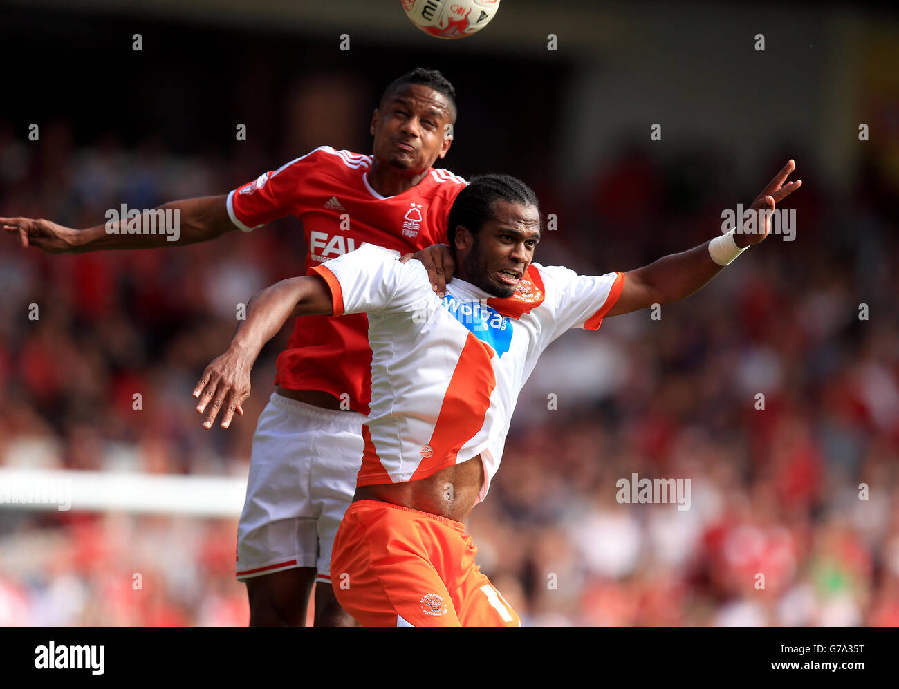 Blackpool Nathan Delfouneso (rechts) und Nottingham Forest Michael Mancienne Kampf um den Ball während der Sky Bet Championship Spiel auf dem City Ground, Nottingham. DRÜCKEN Sie VERBANDSFOTO. Bilddatum: Samstag, 9. August 2014. Siehe PA Geschichte FUSSBALL Nottm Wald. Bildnachweis sollte lauten: Mike Egerton/PA Wire. Stockfoto