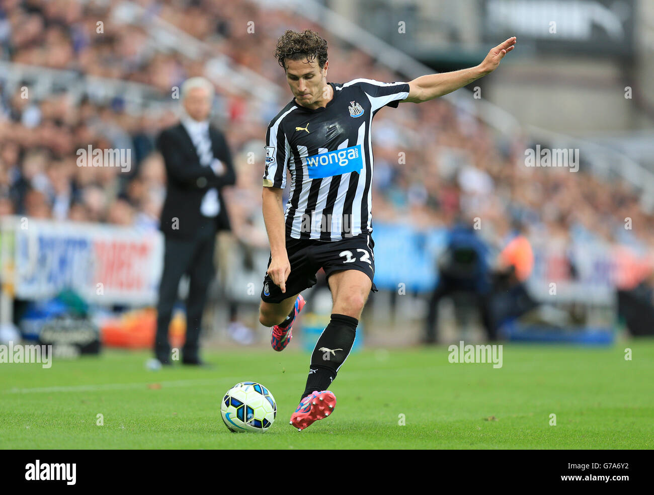 Fußball - Barclays Premier League - Newcastle United / Manchester City - St James' Park. Daryl Janmaat von Newcastle United Stockfoto