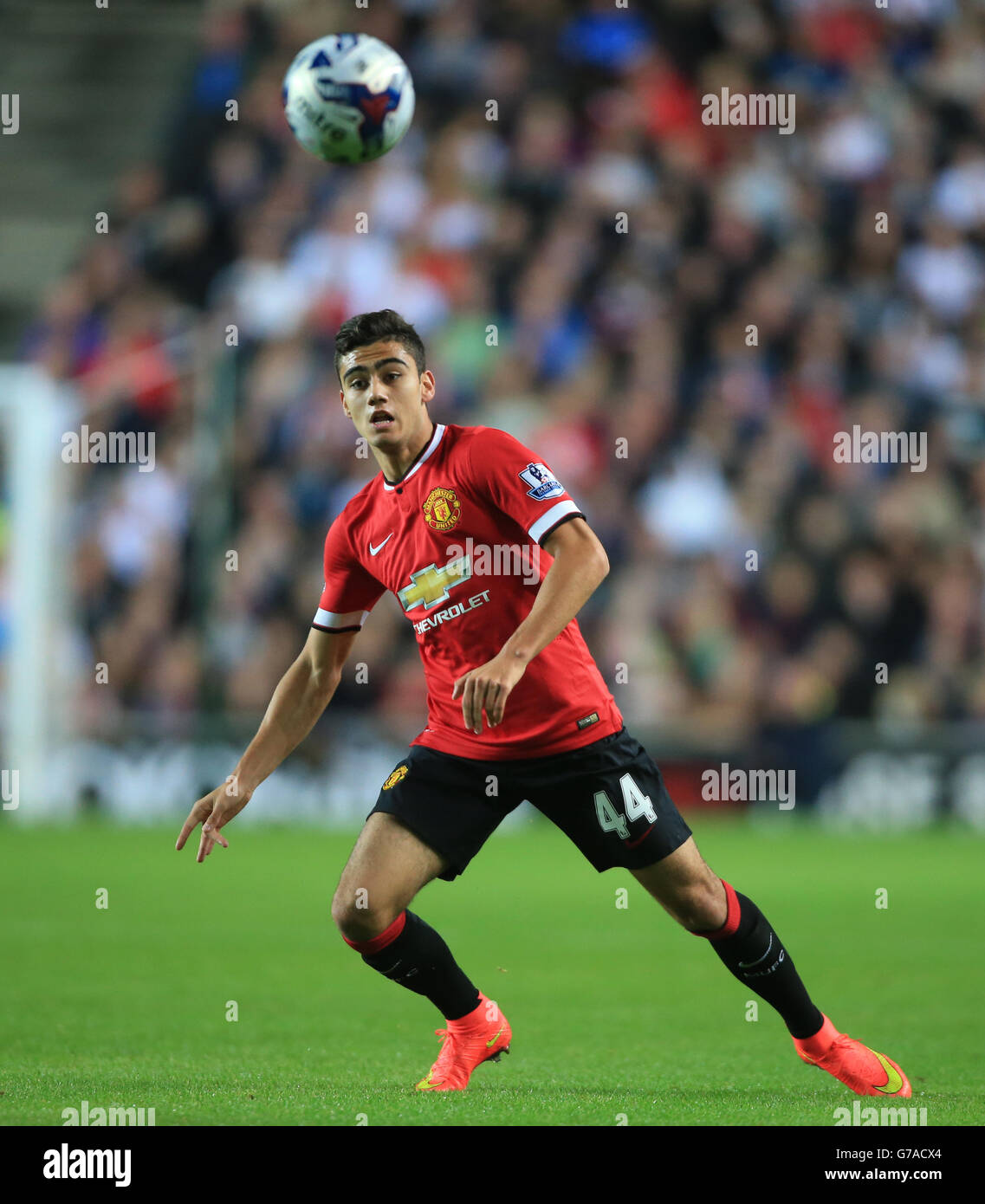 Fußball - Capital One Cup - zweite Runde - Milton Keynes Dons gegen Manchester United - Stadion:mk. Andreas Pereira von Manchester United während des Spiels Capital One Cup Second Round im Stadium:mk, Milton Keynes. Stockfoto