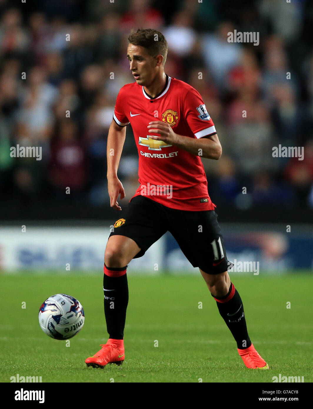 Fußball - Capital One Cup - 2. Runde - Milton Keynes Dons V Manchester United - Stadion: mk Stockfoto