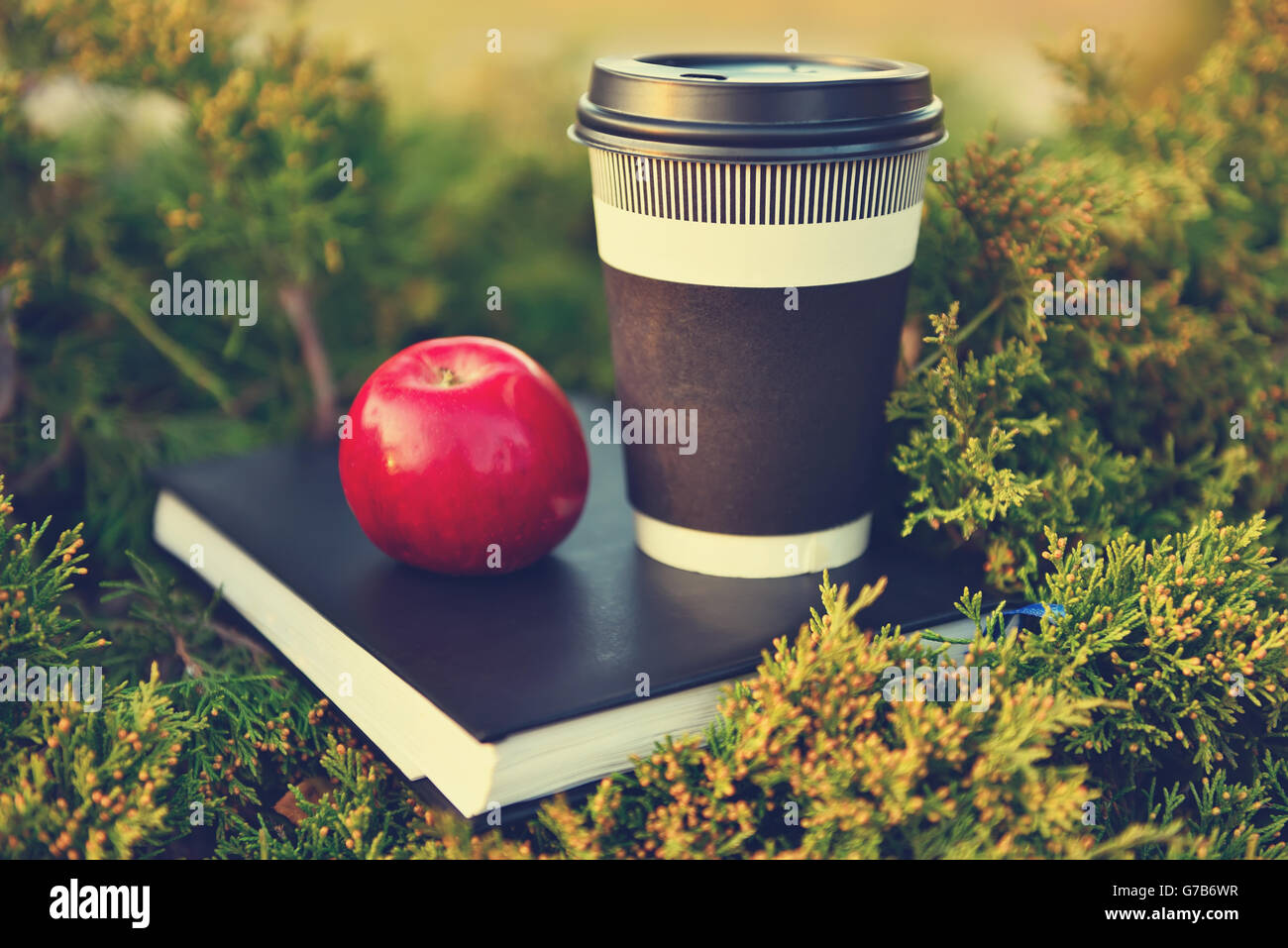 heißen Kaffee, roten Apfel und Buch, Vintage Herbst Foto Stockfoto