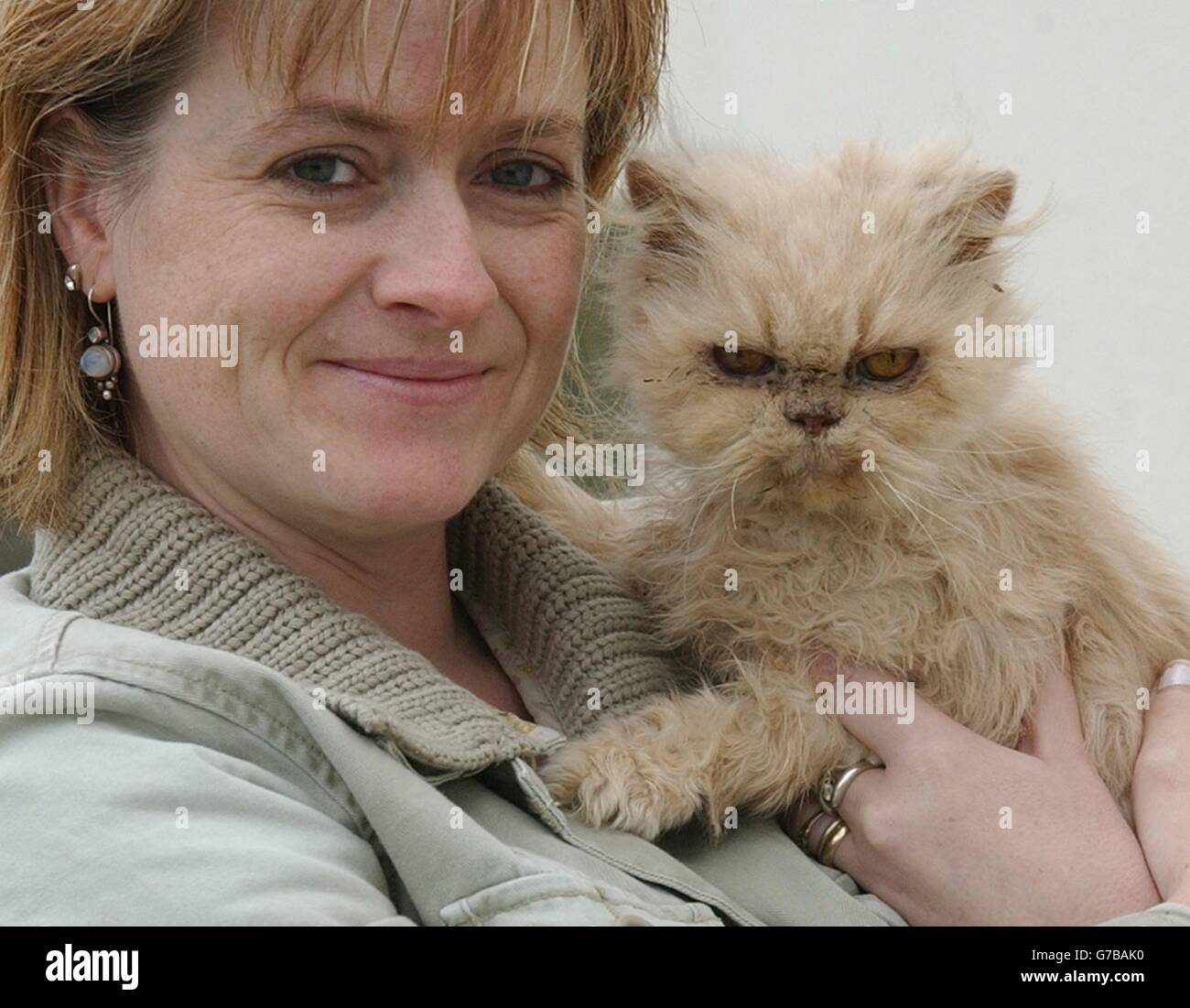 Chloe die 17-jährige Perserkatze wird von ihrem Besitzer Sharon Muffett gehalten, als sie einen Monat nach der Tortur bei Boscastle ihre Genesung fortsetzt. Stockfoto