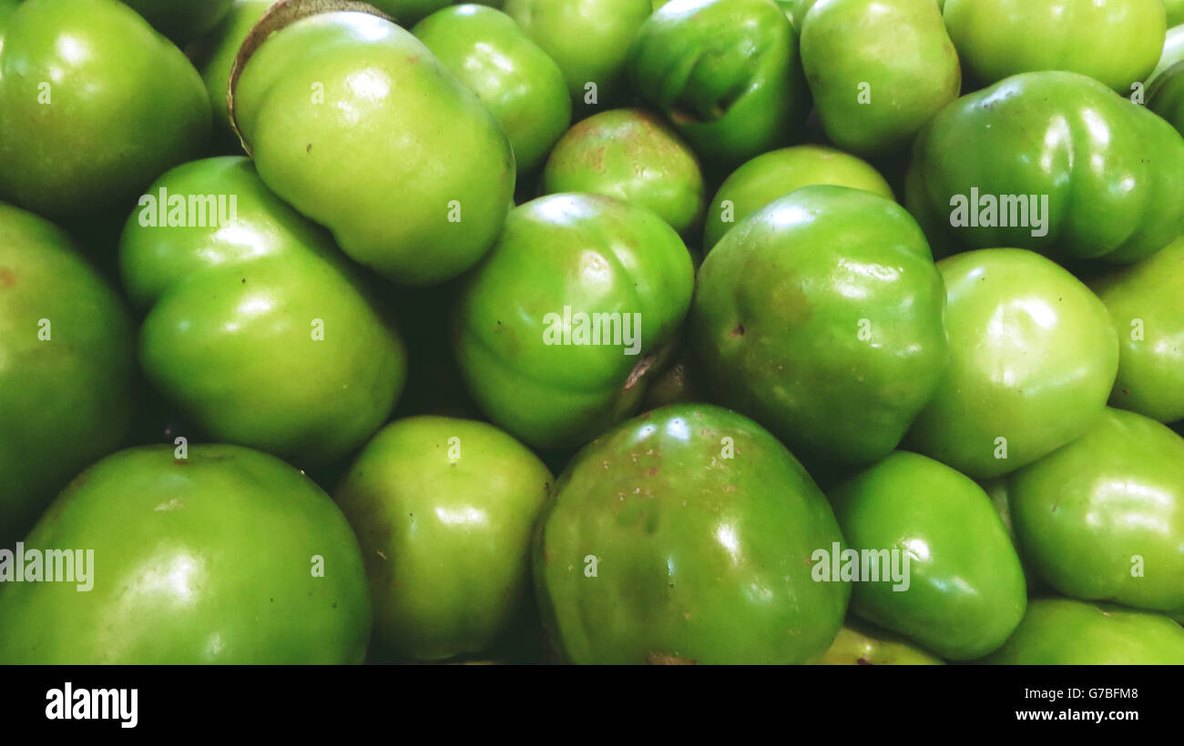 Foto von grünen Tomaten Stockfoto