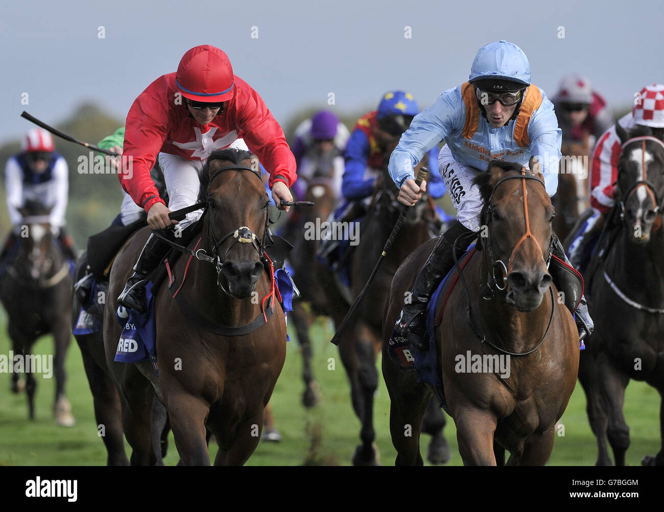 G Force mit Daniel Tudhope (in der Mitte blau) gewinnt den Betfred Sprint Cup während des Betfred Sprint Cup Festivals auf der Haydock Park Racecourse, Newton-le-Willows. Stockfoto