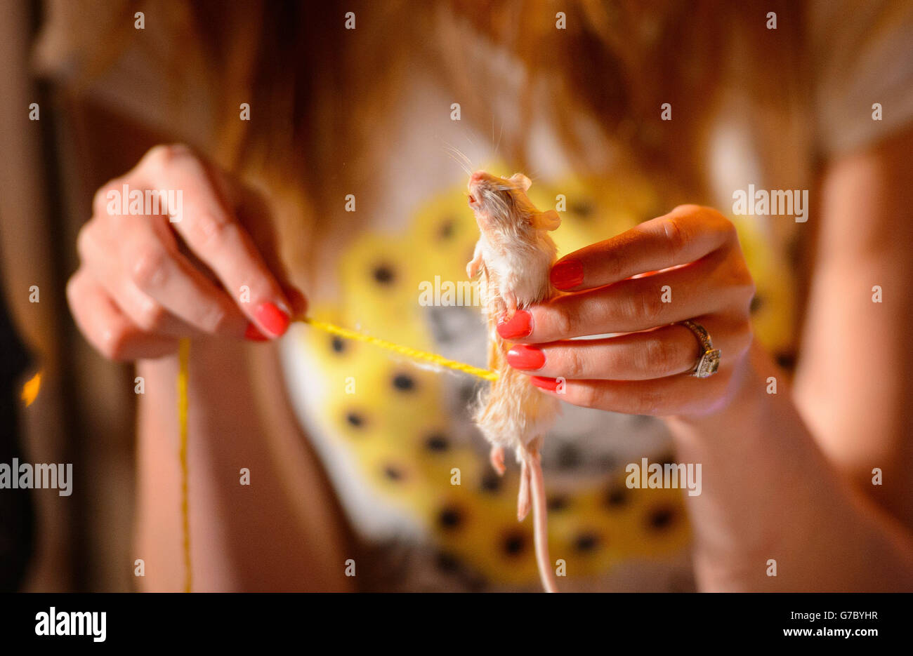 Eine Frau skizziert eine tote Maus während eines Anfängertrainers, der im Boxpark, Shoreditch, East London, abgehalten wird. Stockfoto