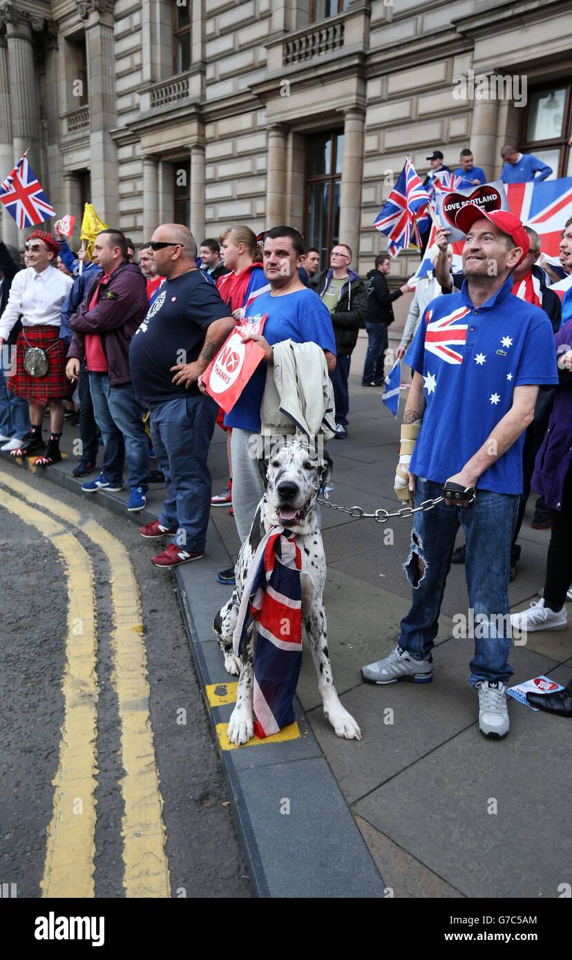 KEINE Anhänger am George Square in Glasgow, vor dem morgigen schottischen Unabhängigkeitsreferendum. Stockfoto