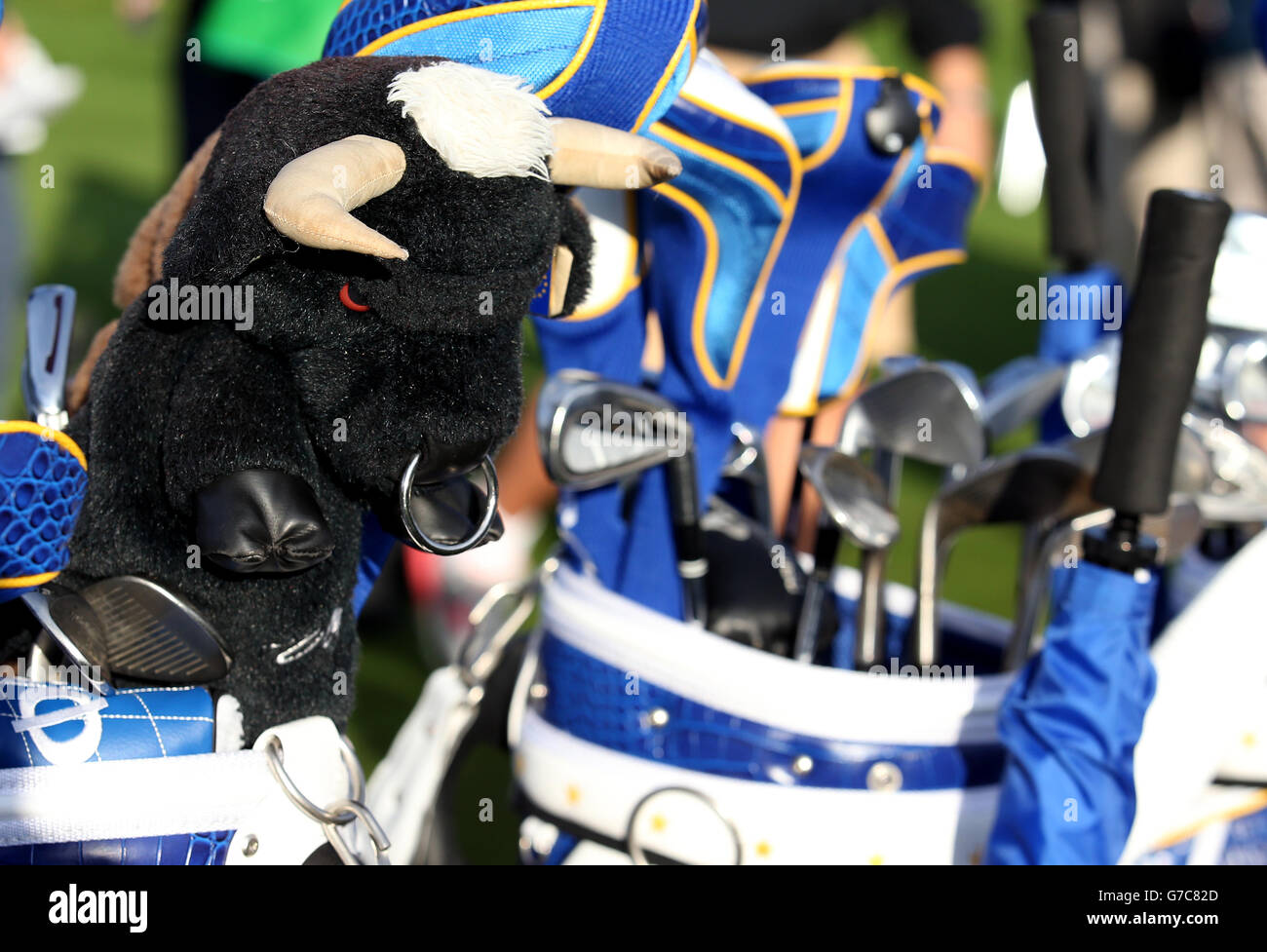 Golf - 40. Ryder Cup - Üben Tag 1 - Gleneagles. Eine Kopfbedeckung des Stier-Tierkopfes Stockfoto