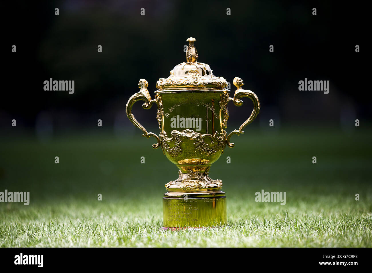 Rugby Union - 1 Jahr bis zur Rugby-Weltmeisterschaft 2015 - Rugby School. Detail des Webb Ellis Cups während einer Fotoansicht an der Rugby School, Warwickshire. Stockfoto