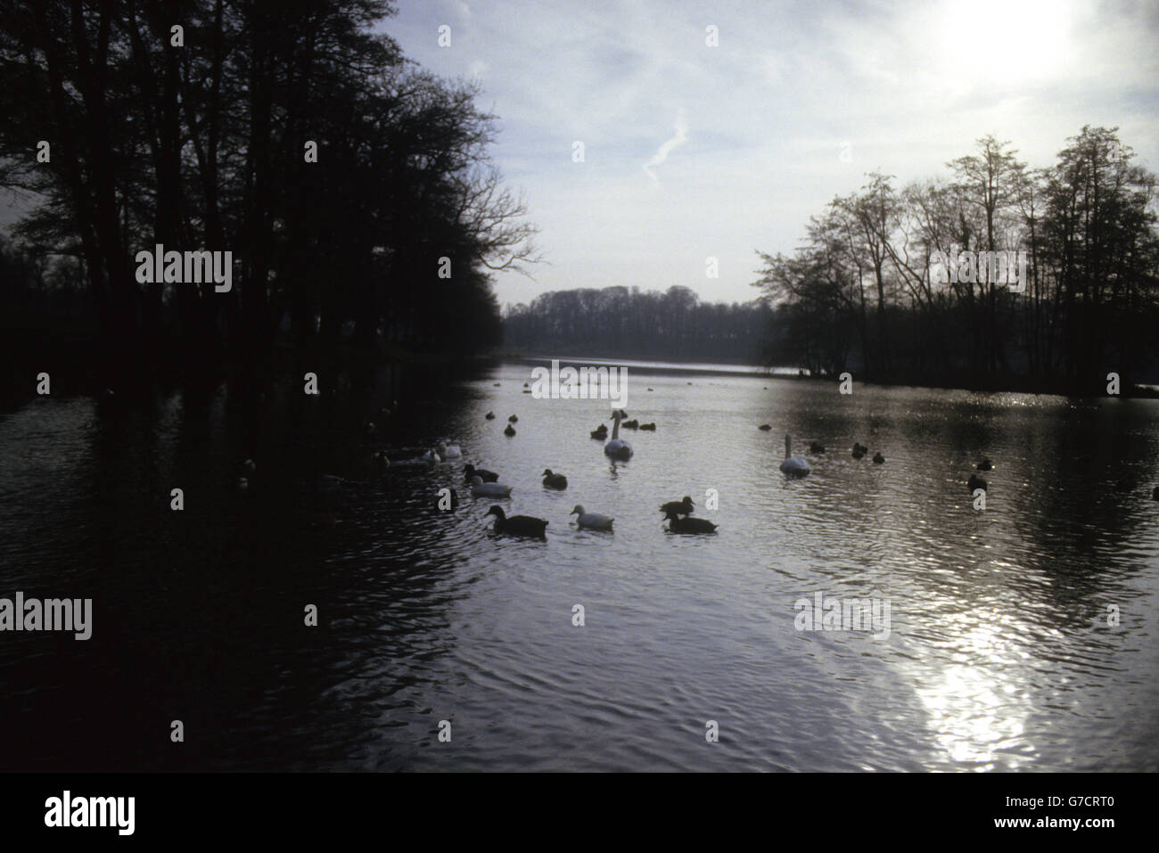 Ein See auf dem Gelände von Wollaton Hall in Wollaton Park, Nottingham, England. Die Halle wurde zwischen 1580 und 1588 für Sir Francis Willoughby erbaut und soll vom elisabethanischen Architekten Robert Smythson entworfen worden sein. 2011 wurden vor der Wollaton Hall wichtige Szenen aus dem Batman-Film The Dark Knight Rises gedreht. Stockfoto