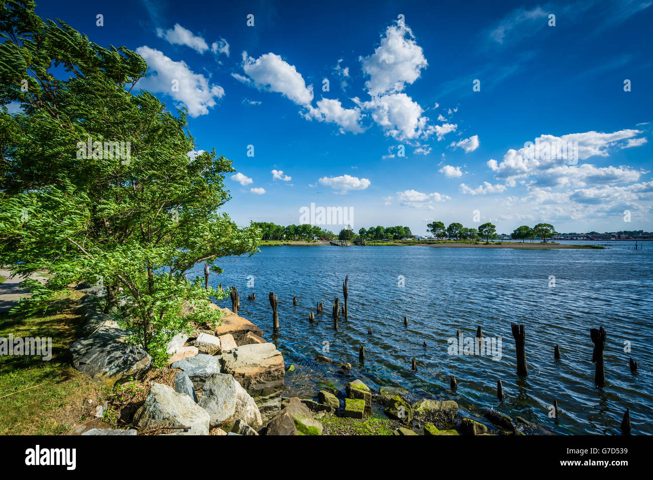 Pier Pfähle im Fluss Seekonk, in Providence, Rhode Island. Stockfoto
