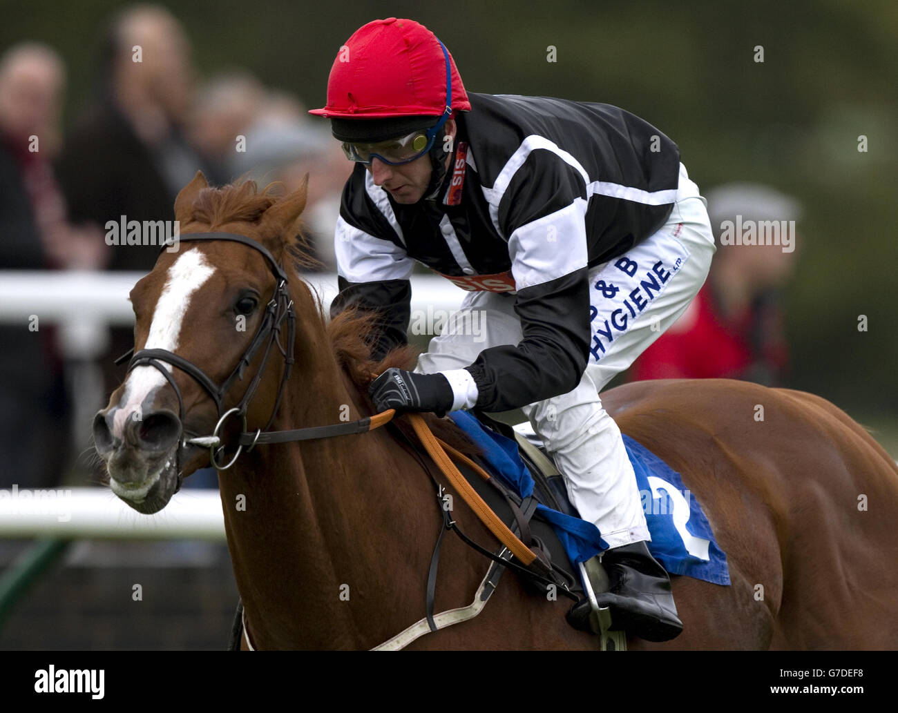 Code Red mit Martin Dwyer gewinnt den 32Red On Der App Store EBF Hengste Maiden Stakes Stockfoto