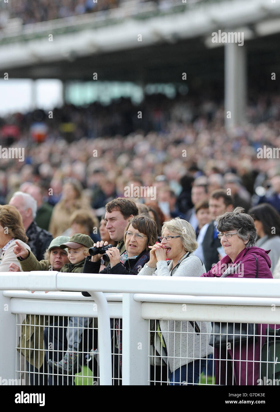 Horse Racing - Showcase - Tag eins - Cheltenham Racecourse Stockfoto