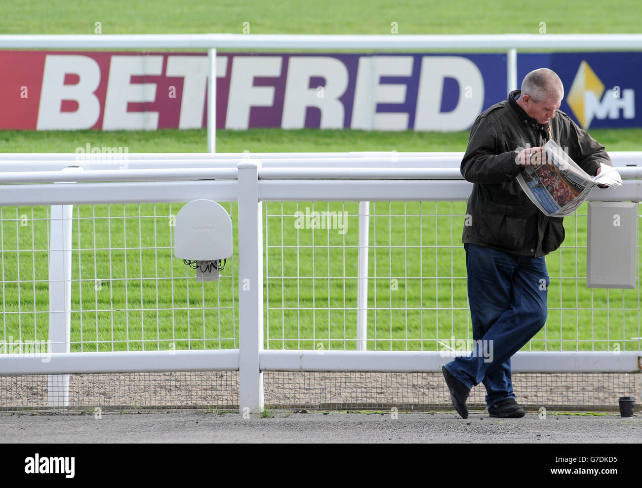 Ein Rennfahrer prüft die Chancen während des ersten Tages des Showcase-Meetings 2014 auf der Cheltenham Racecourse, Cheltenham. Stockfoto