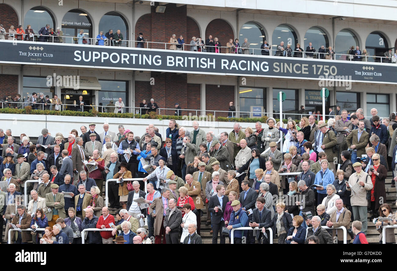 Horse Racing - Showcase - Tag eins - Cheltenham Racecourse Stockfoto