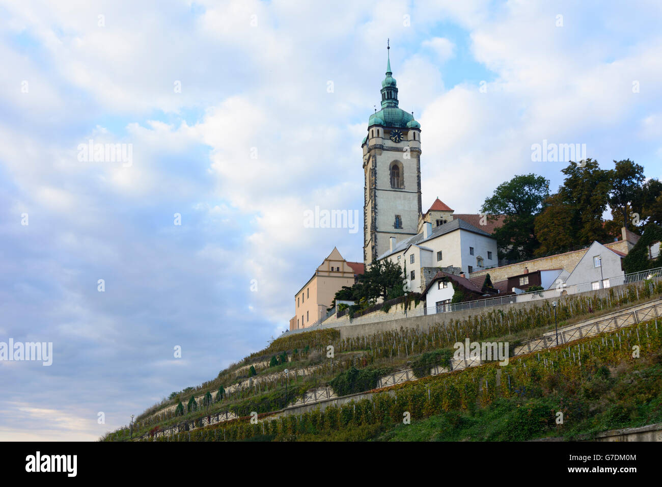 Schloss Mělník, Weinberg, Mělník (Melnik), Mittelböhmen, Tschechien, Stredocesky, Mittelböhmen Stockfoto