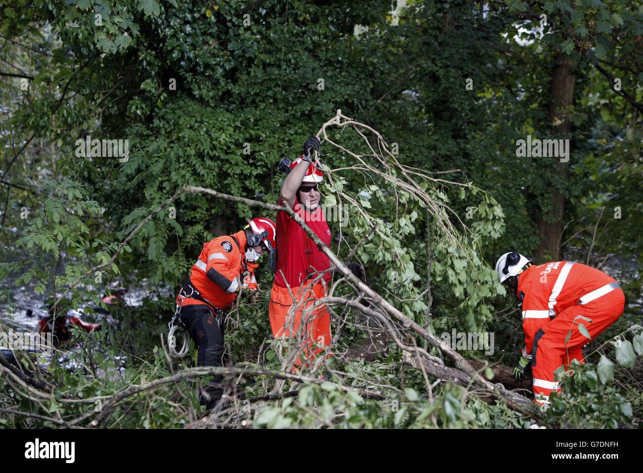 Alice Gross Tod Stockfoto