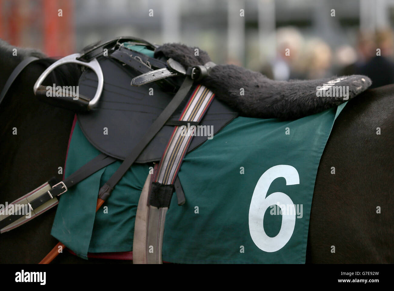 Horse Racing - Showcase - Tag zwei - Cheltenham Racecourse Stockfoto