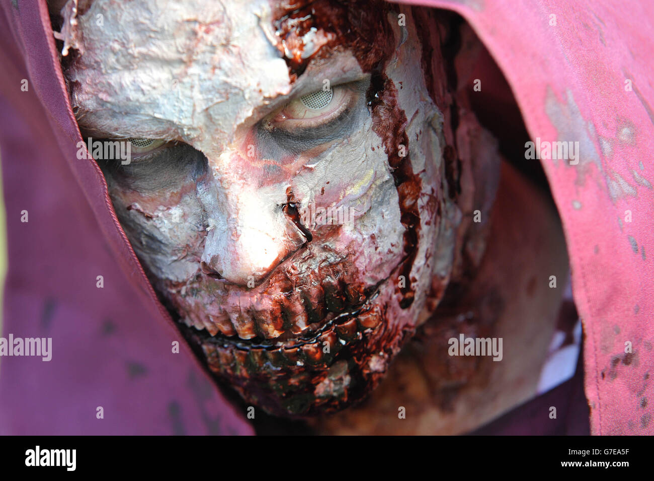 Chris Warrington in Kostüm während des Zombie Evacuation Race im Milton Country Park in Cambridge. Stockfoto