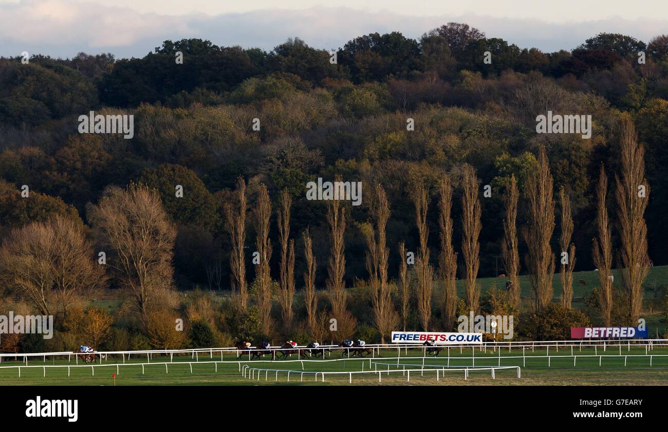 Horse Racing - Worthington der Streitkräfte Raceday - Newbury Racecourse Stockfoto