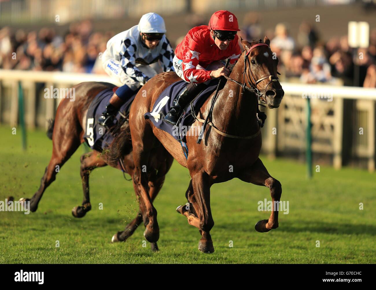 Red Pike geritten von Paul Mulrennan gewinnt die Thai Street Cafe und Crown Rooms Newmarket Conditions Einsätze während des Tages der Halloween Big Bash auf Newmarket Racecourse. Stockfoto