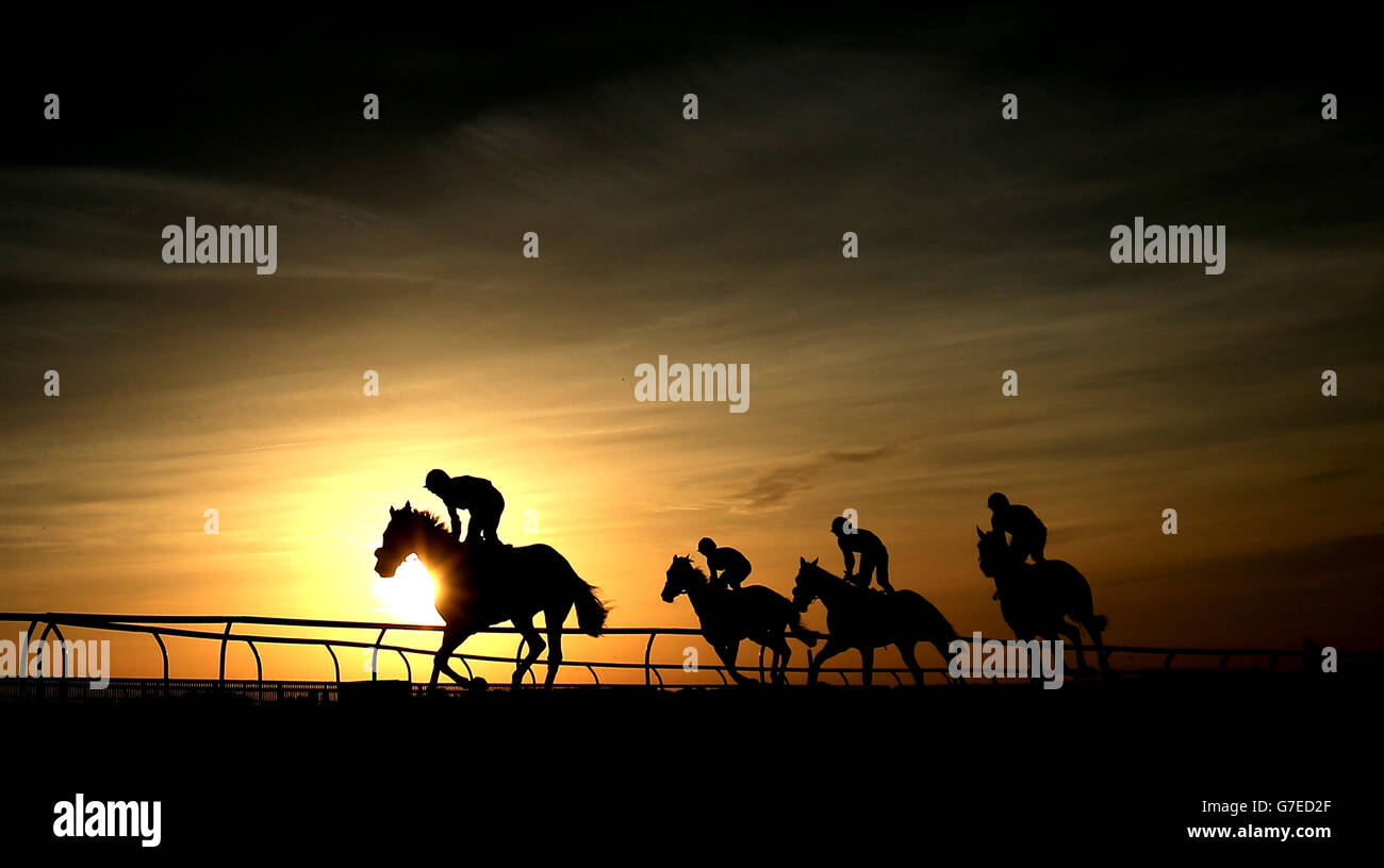 Pferde in der Routemaster Bus Bar und Shardlow Brewing Handicap Stakes während des Tages der Halloween Big Bash auf der Newmarket Racecourse. DRÜCKEN SIE VERBANDSFOTO. Bilddatum: Freitag, 31. Oktober 2014. Siehe PA Story RACING Newmarket. Bildnachweis sollte lauten: Mike Egerton/PA Wire Stockfoto