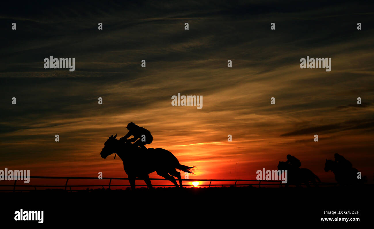 Pferde in den Express Coffee Cars und Warrens of Warwick Handicap Stakes am Tag der Halloween Big Bash auf der Newmarket Racecourse. DRÜCKEN SIE VERBANDSFOTO. Bilddatum: Freitag, 31. Oktober 2014. Siehe PA Story RACING Newmarket. Bildnachweis sollte lauten: Mike Egerton/PA Wire Stockfoto