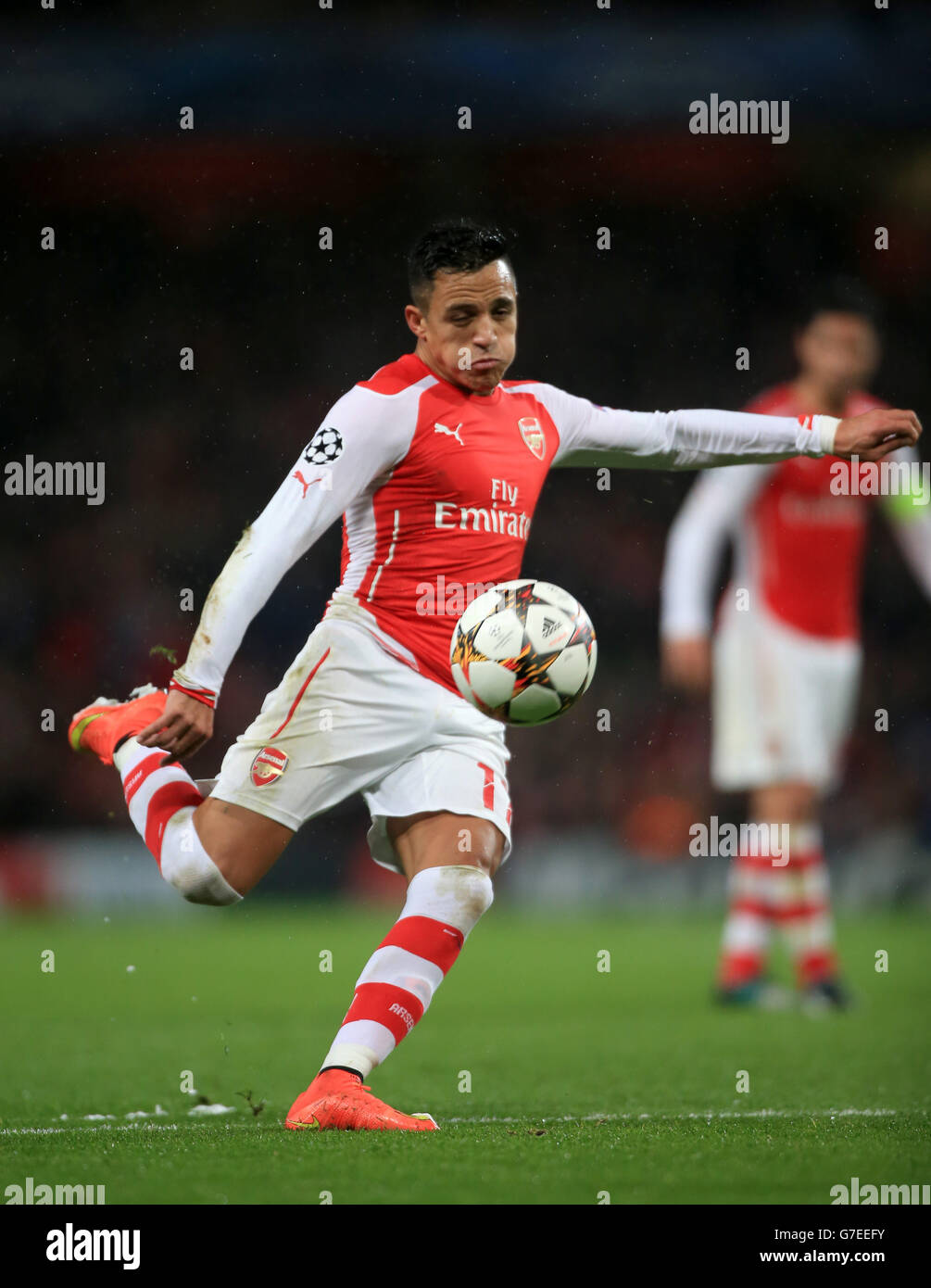 Alexis Sanchez von Arsenal schießt beim UEFA Champions League-Spiel der Gruppe D im Emirates Stadium in London das zweite Tor seines Mannschaftsspiels ein. DRÜCKEN Sie VERBANDSFOTO. Bilddatum: Dienstag, 4. November 2014. Siehe PA Geschichte FUSSBALL Arsenal. Das Foto sollte Nick Potts/PA Wire lauten. Stockfoto