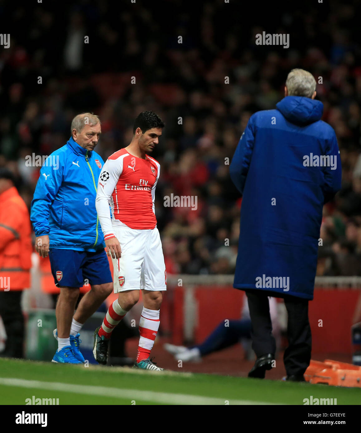 Arsenals Mikel Arteta (links) wird vom Spielfeld ersetzt, während Manager Arsene Wenger (rechts) beim UEFA Champions League-Spiel der Gruppe D im Emirates Stadium in London zuschaut. DRÜCKEN Sie VERBANDSFOTO. Bilddatum: Dienstag, 4. November 2014. Siehe PA Geschichte FUSSBALL Arsenal. Das Foto sollte Nick Potts/PA Wire lauten. Stockfoto