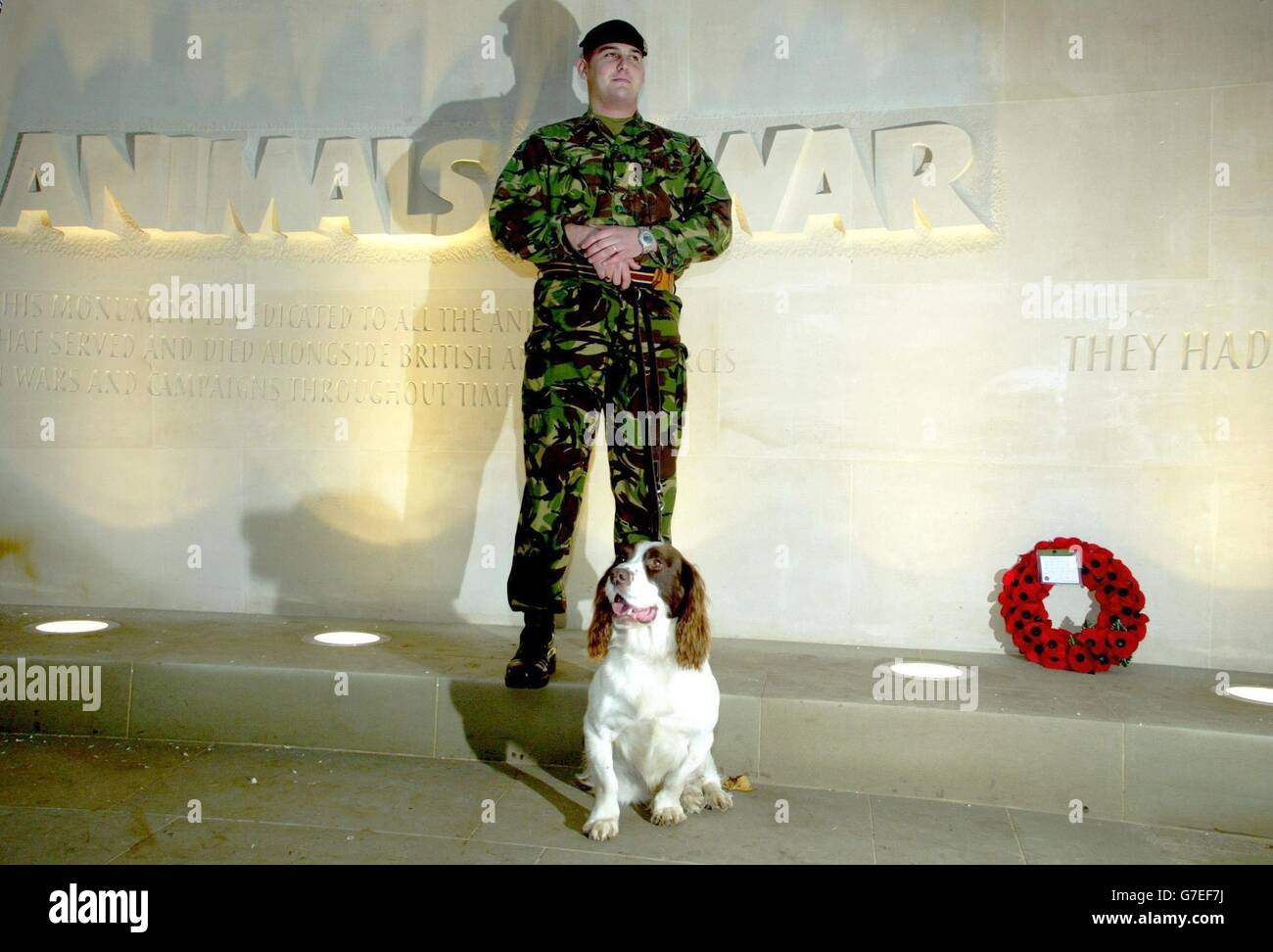 Corpal Jason Crafter vom Royal Army Veterny Core mit Buster, der den Dickens Award für seinen Dienst im Irak erhielt, erkundet die neuen Tiere im war Memorial auf der Park Lane, nachdem es heute von Prinzessin Anne eröffnet wurde. Die vergessenen Helden Großbritanniens werden schließlich mit einem Denkmal geehrt, das den mutigen Tieren gewidmet ist, die im Krieg gedient haben. Es ist die erste dauerhafte Hommage an die Pferde, Hunde, Elefanten, Tauben und viele andere Kreaturen, deren Fähigkeiten Soldaten in Konfliktzeiten abhängig gemacht haben. Stockfoto