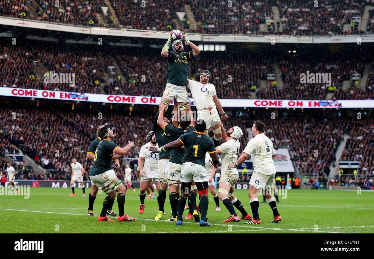 Rugby Union - QBE International 2014 - England / Südafrika - Twickenham. Der südafrikanische Victor Matfield gewinnt während der QBE International in Twickenham, London, eine Linie. Stockfoto