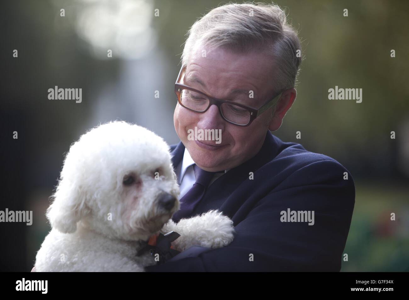 Michael Gove MP für Surrey Heath mit seinem Bichon Frise, Snowy, der beim Westminster Dog of the Year Wettbewerb in Victoria Tower Gardens in London, organisiert vom Dogs Trust und dem Kennel Club, den zweiten Platz gewann. Stockfoto