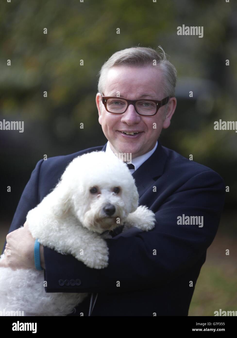 Michael Gove MP für Surrey Heath mit seinem Bichon Frise, Snowy, der beim Westminster Dog of the Year Wettbewerb in Victoria Tower Gardens in London, organisiert vom Dogs Trust und dem Kennel Club, den zweiten Platz gewann. Stockfoto