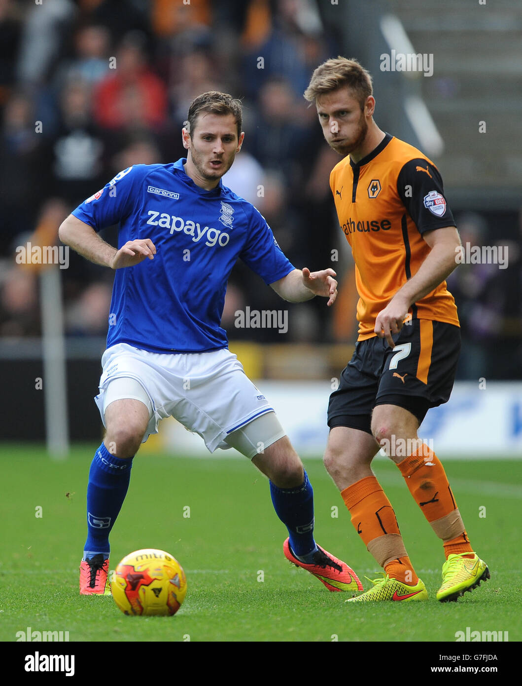 Wolverhampton Wanderers' James Henry (rechts) und Birmingham Citys Jonathan Grounds kämpfen während des Sky Bet Championship-Spiels in Molineux, Wolverhampton, um den Ball. DRÜCKEN Sie VERBANDSFOTO. Bilddatum: Samstag, 1. November 2014. Siehe PA Geschichte SOCCER Wolves. Bildnachweis sollte Nigel French/PA Wire lauten. . . Stockfoto