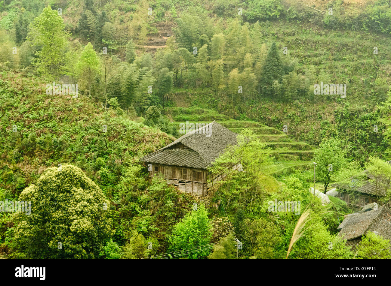 Traditionelle Häuser der Yao-Minderheit in der Nähe von Ping'An, autonomen Region Guangxi, China Stockfoto