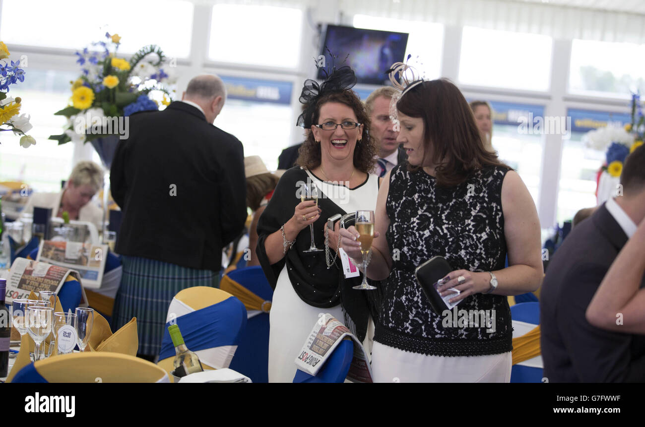 Pferderennen - William Hill Ayr Gold Cup Festival - Gold Cup Day - Ayr Racecourse. Rennfahrer am dritten Tag des William Hill Ayr Gold Cup Festivals 2014 auf der Ayr Racecourse, Ayr. Stockfoto