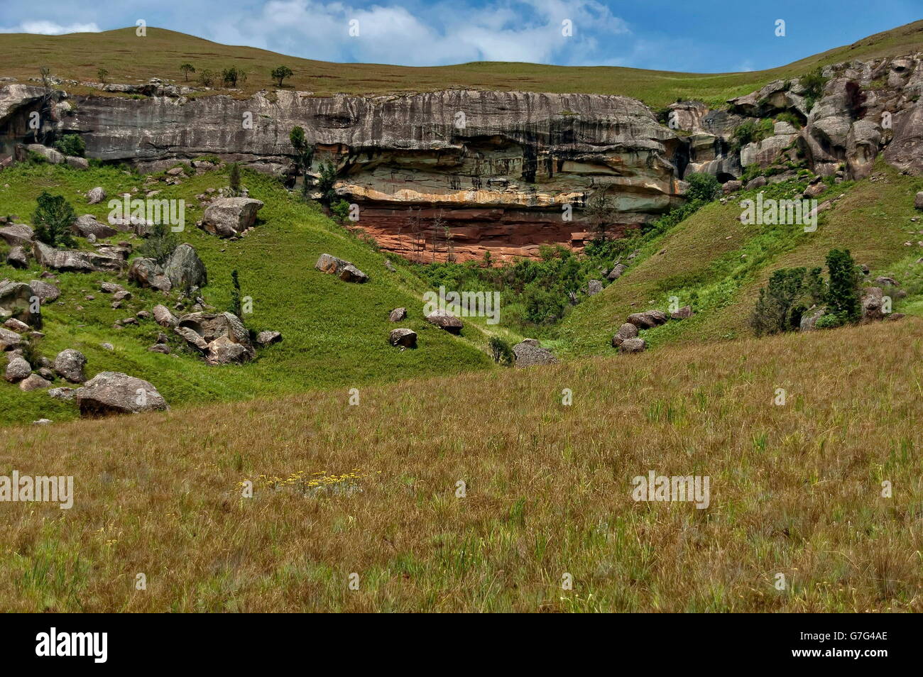 Sedimentgestein und Farn im Naturschutzgebiet Giants Castle KwaZulu-Natal, Südafrika Drakensberge Stockfoto
