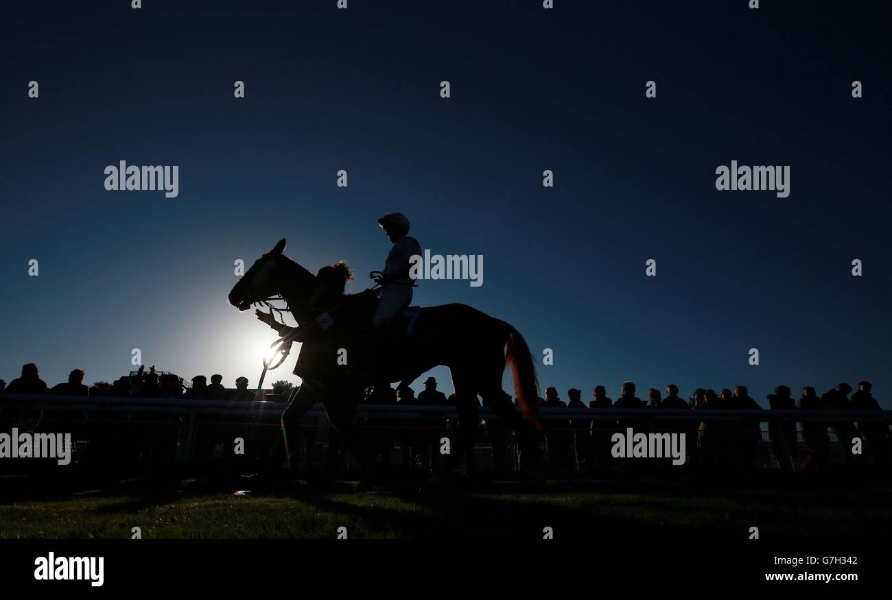 Russian Empire geritten von J Nixon in der Parade Ring vor dem Shokers Landrover von Ludlow Novices & Acute; Handicap Chase auf Ludlow Racecourse, Shropshire. Stockfoto