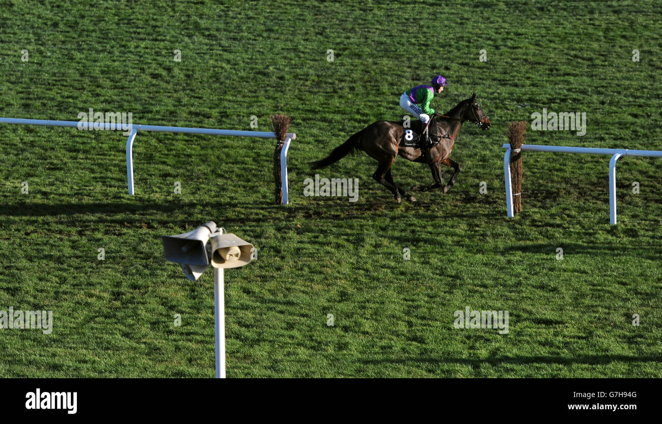 Carrigmorna King, gefahren von Richard Johnson, macht sich auf den Kopf vor dem Rennen im Caspian Caviar Gold Cup am zweiten Tag des Internationalen, auf der Cheltenham Rennbahn. Stockfoto