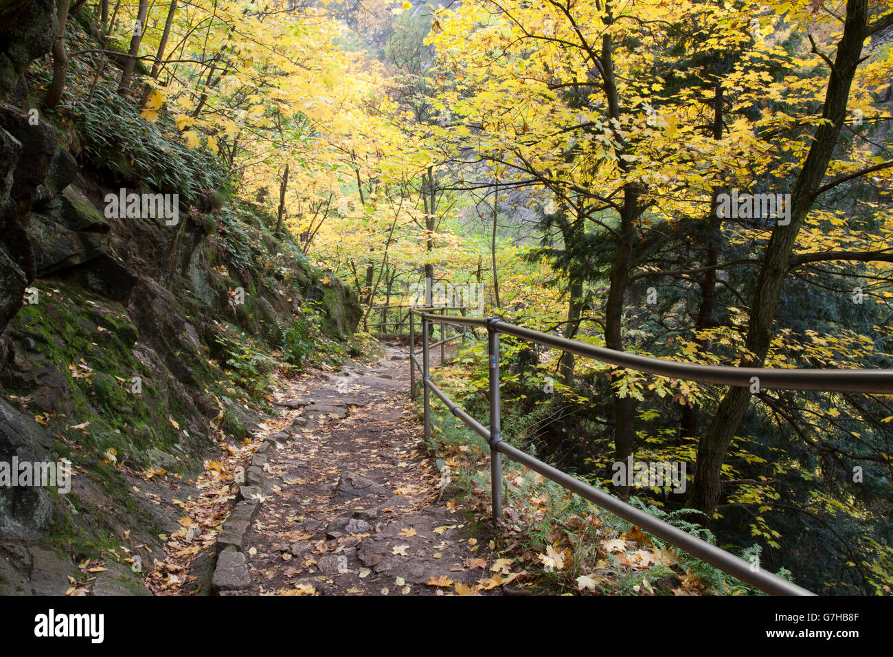 Goetheweg Wanderweg im Bodetal oder Bode Gorge Nature Reserve, Thale, Harz, Sachsen-Anhalt, PublicGround Stockfoto