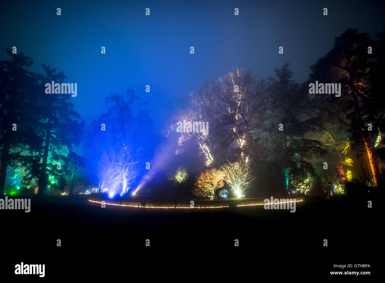 Ein Blick auf den verzauberten weihnachtlichen beleuchteten Weg am Westonburt Arboretum in Gloucestershire, der offiziell am Freitag, 28. November eröffnet wird. Stockfoto