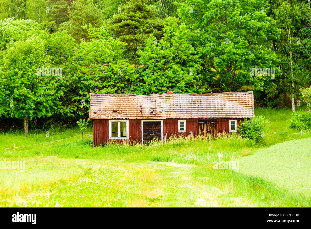 Verlassenen Bauernhaus langsam zerfallen lassen Natur seinem Hoheitsgebiet zurückzuerobern. Stockfoto