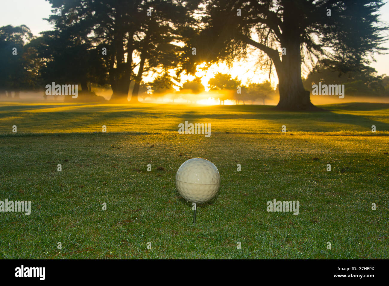 Golf Course at Dawn Hintergrundbeleuchtung von aufgehenden Sonne Stockfoto