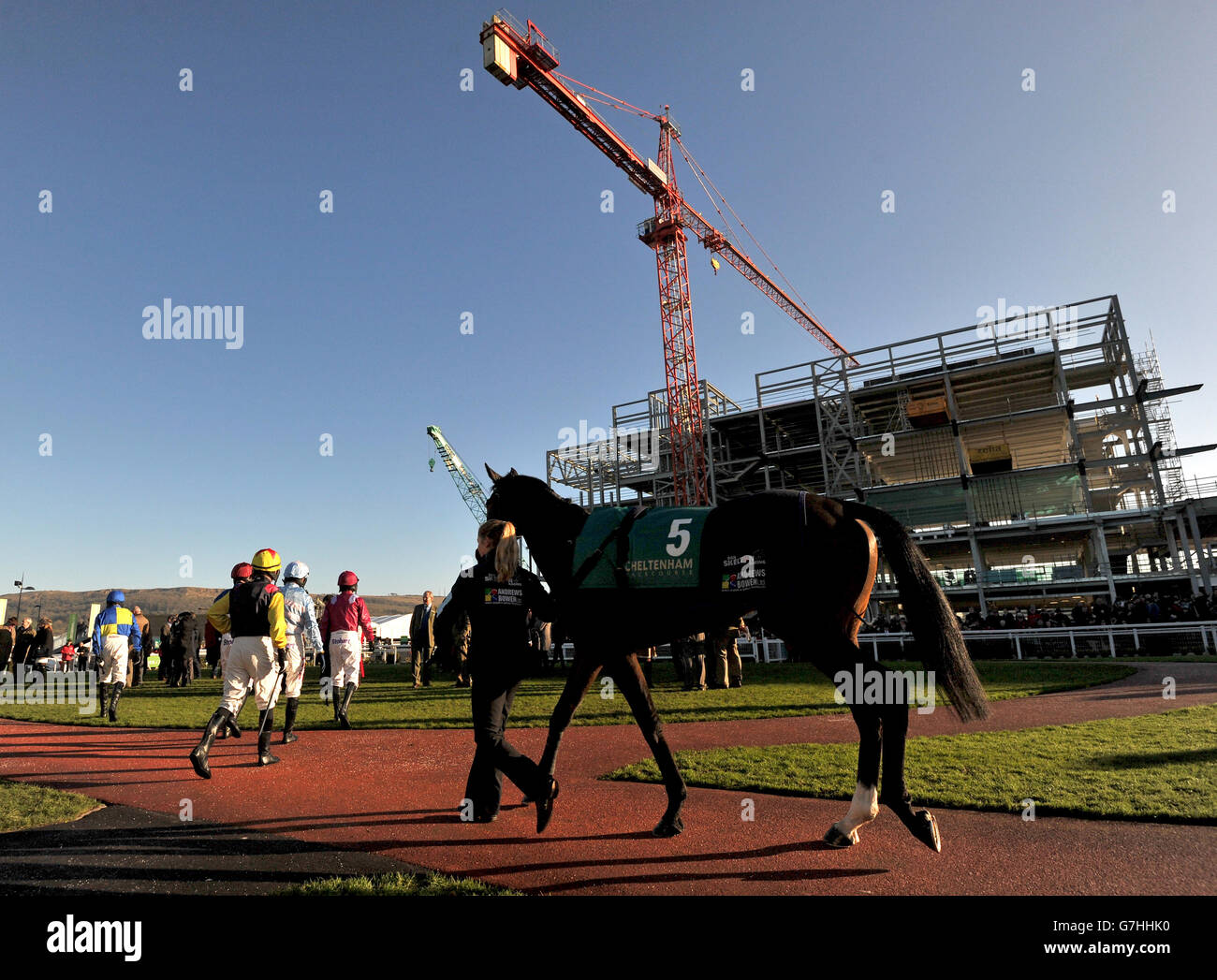 Pferderennen - 2014 International - Tag zwei - Cheltenham Stockfoto