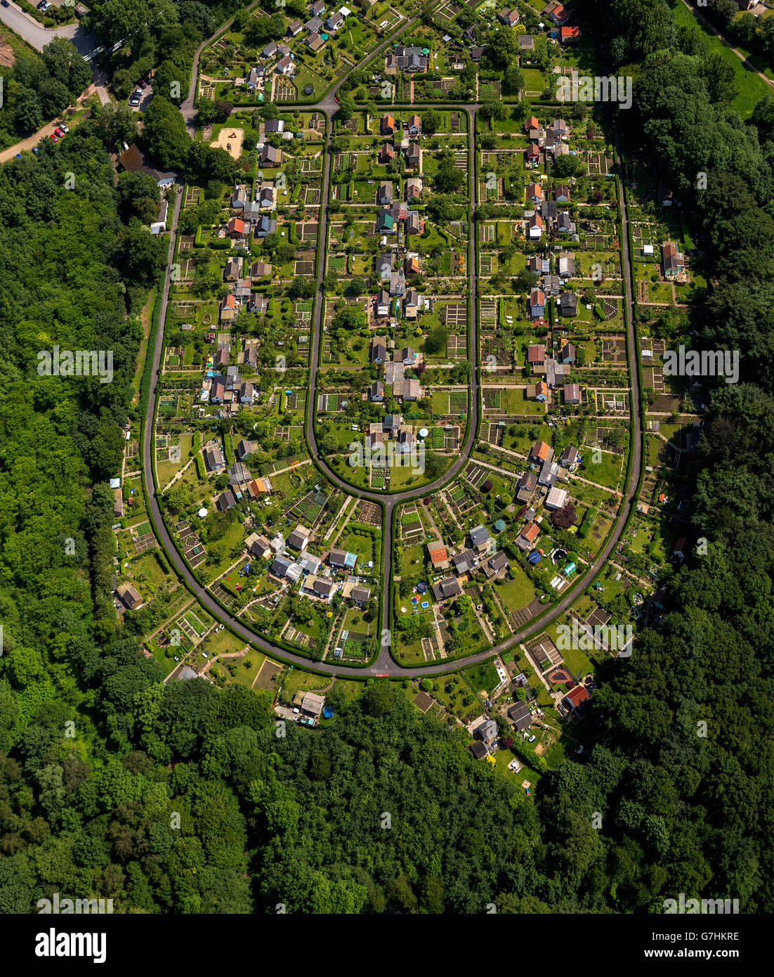 Luftbild, Schrebergarten BochumHarpen auf Rottmanssteich, Kleingärten