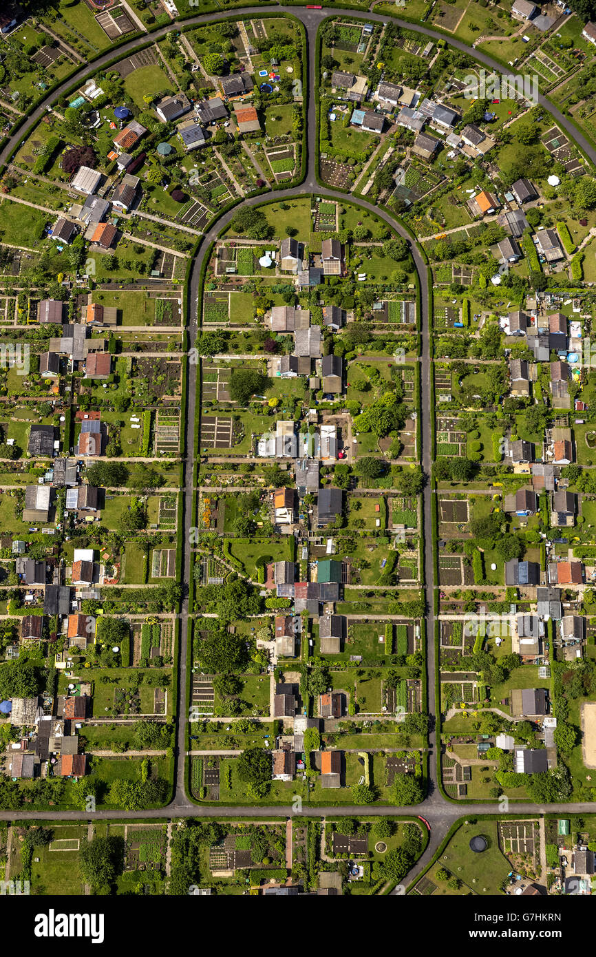 Luftbild, Schrebergarten Bochum-Harpen auf Rottmanssteich, Kleingärten, Zuteilung Association, Bochum, Ruhrgebiet, Stockfoto
