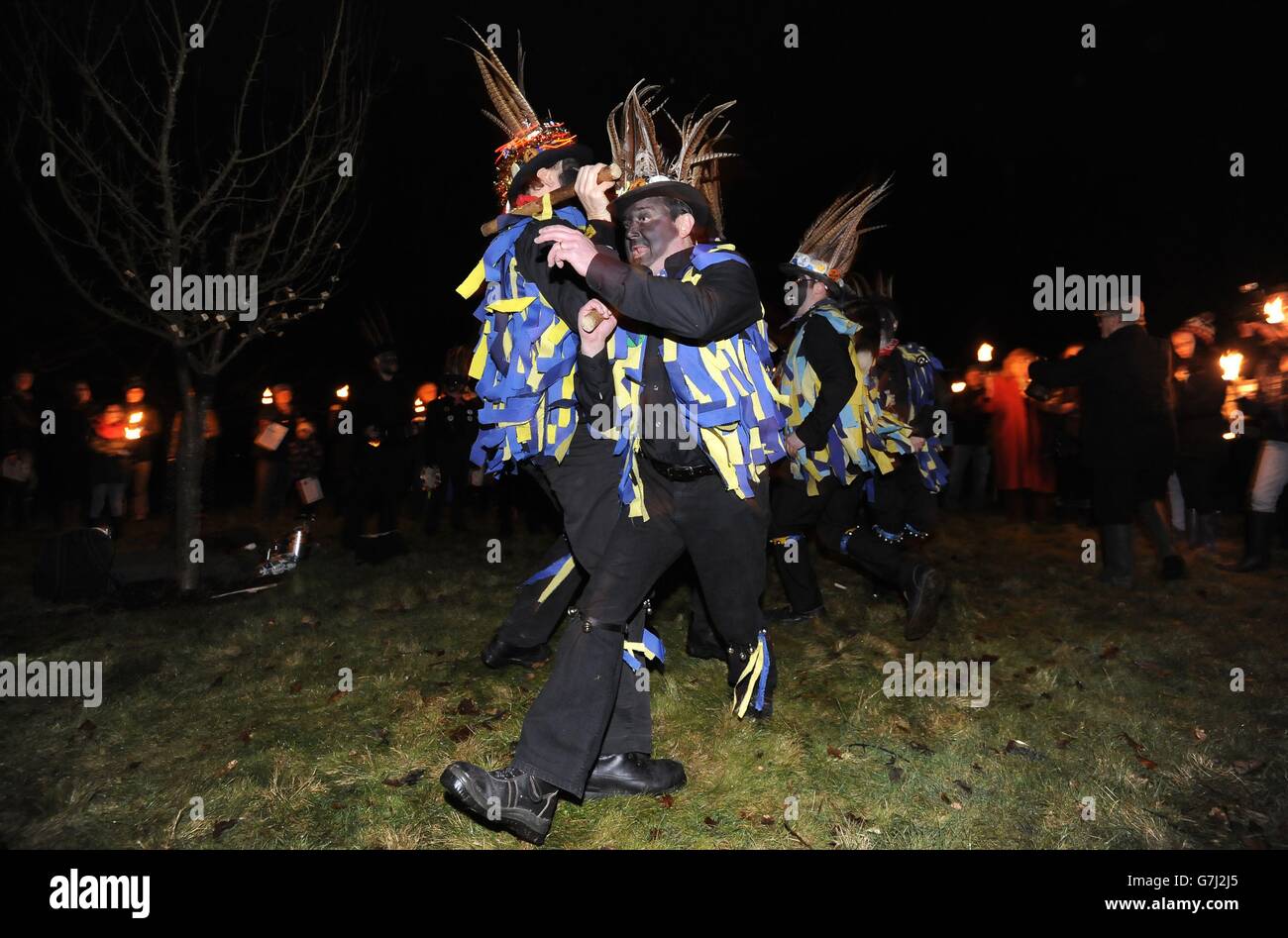 Mitglieder der Hook Eagle Morris Tänzer tanzen im Vaughan Millennium Apple Orchard während einer 'Wassail' in Hartley Wintney, Hampshire. Stockfoto