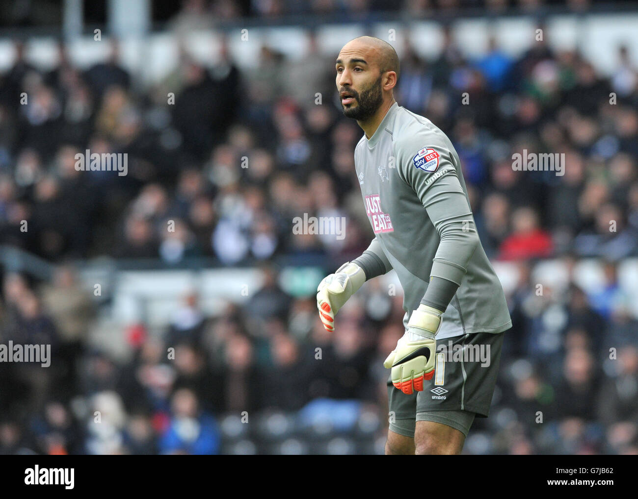 Fußball - Sky Bet Championship - Derby County / Norwich City - iPro Stadium. Derby County Torwart Lee Grant Stockfoto
