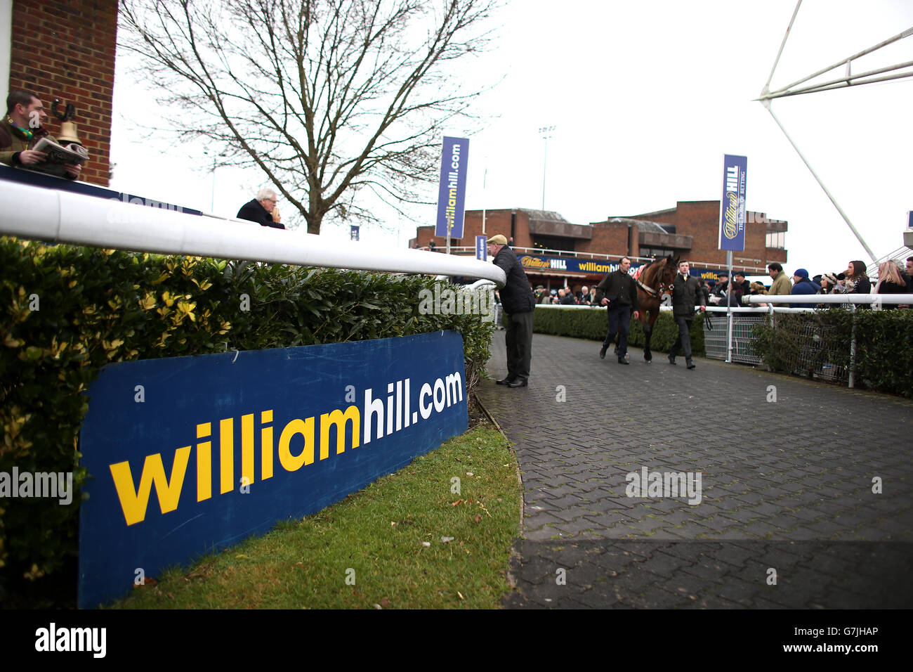 Zip Top wird vor der Parade in den Ring geführt Der William Hill - in der Hürde des App Store für Anfänger Stockfoto