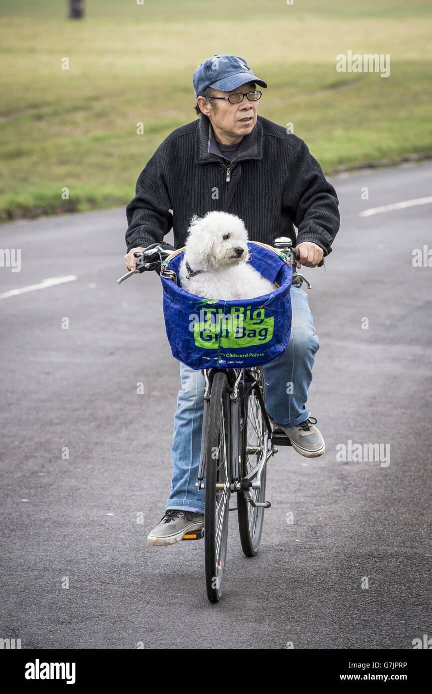 FOTO. Ein Mann trägt einen Hund in einer Tasche auf der Vorderseite seines Fahrrads um Clifton Downs, Bristol, Großbritannien. Stockfoto